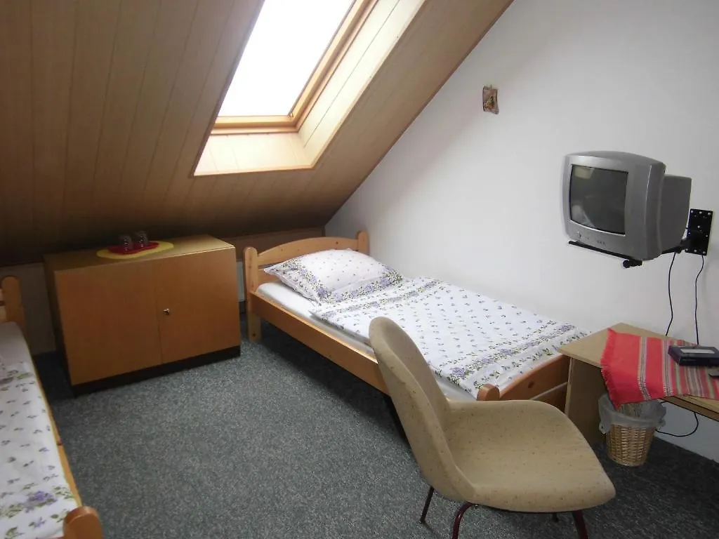 Kupkova Ubytovani V Soukromi Brno Homestay
